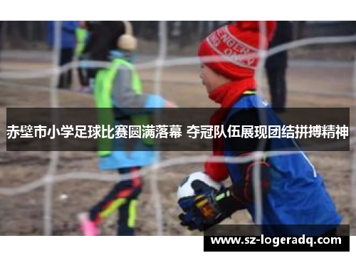 赤壁市小学足球比赛圆满落幕 夺冠队伍展现团结拼搏精神